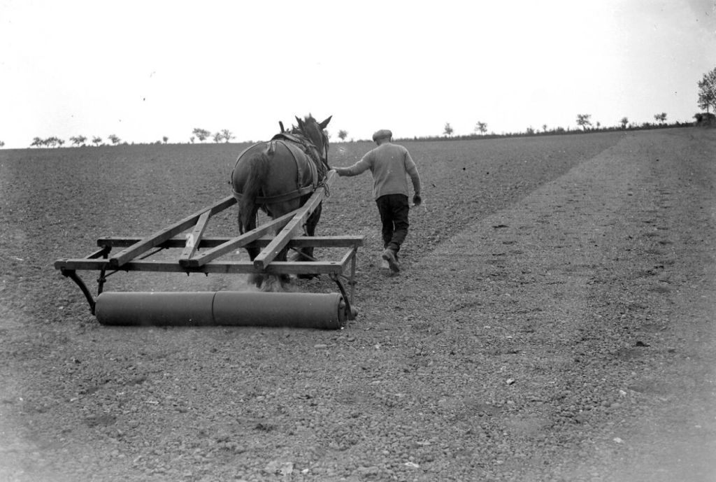Land Rollers: From Historical Origins to Modern Day Innovations