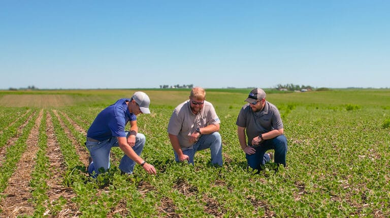 Three Crops in Two Years: What Accelerated Cropping Systems Mean for Seedbed Prep
