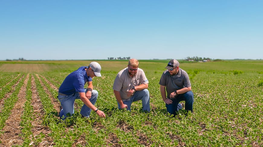 Three Crops in Two Years: What Accelerated Cropping Systems Mean for Seedbed Prep
