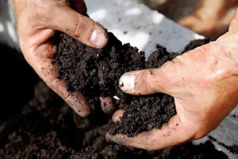 Nutrients Are There, But Can Your Crop Reach Them?