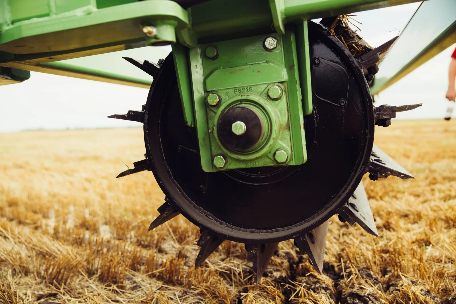 Green disc coulter with spikes engaged in cereal stubble residue