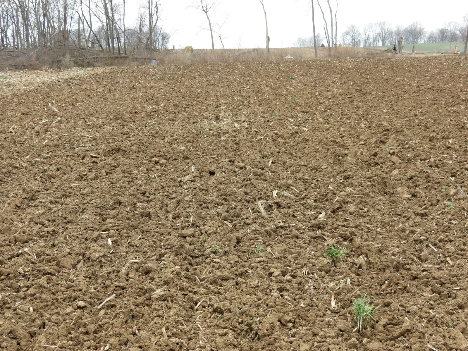 Tilled agricultural field with cloddy soil and scattered crop residue in early spring