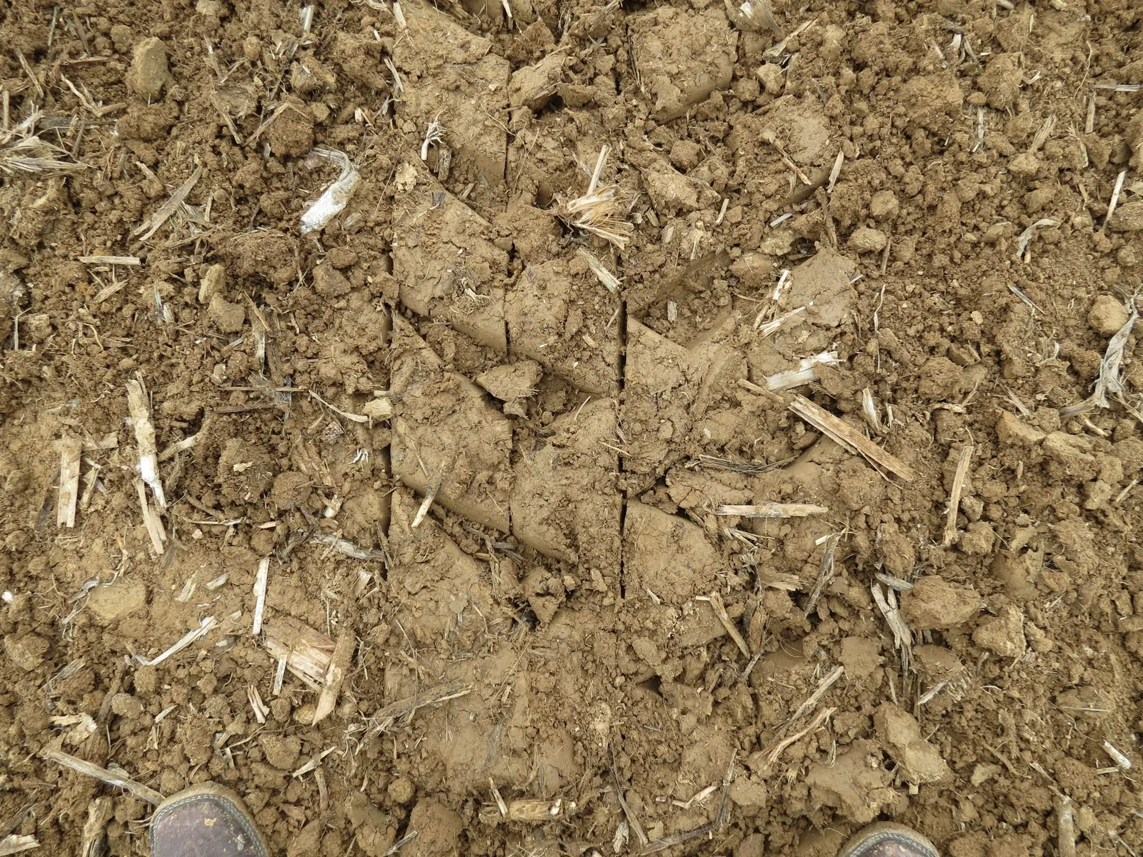 Tilled soil with crop residue and clods in a prepared field