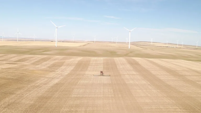What a Wet Canola Harvest Means for Next Spring